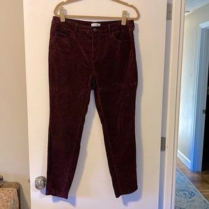 Ann Taylor Loft Burgundy Plum Pants